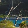 ananda carriacou