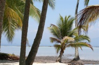 venezuela goelette voilier antilles 2