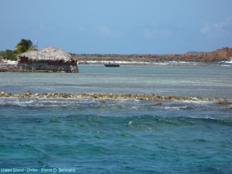 antilles charter grenadines 3