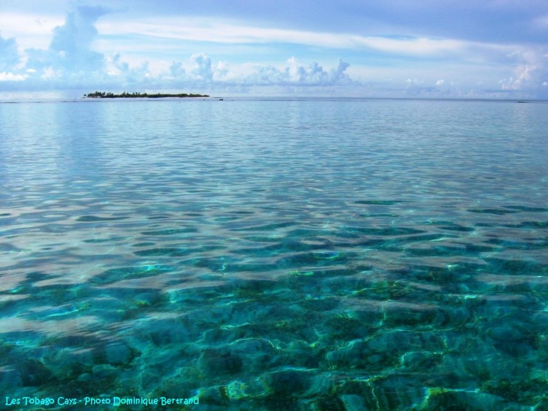 antilles charter grenadines 4