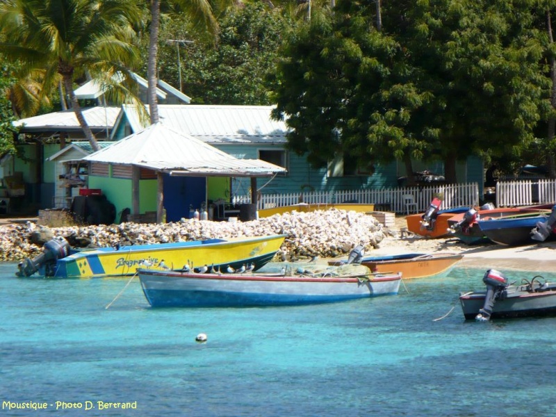antilles charter grenadines barques