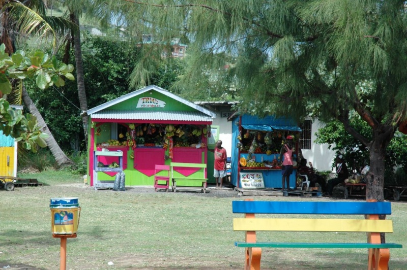 antilles charter grenadines maison colorée