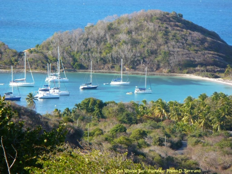 antilles charter grenadines mayero