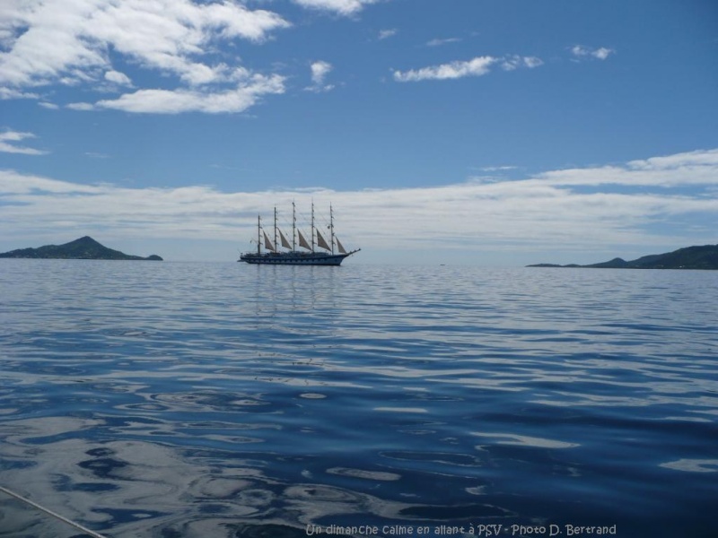 antilles charter grenadines star clipper