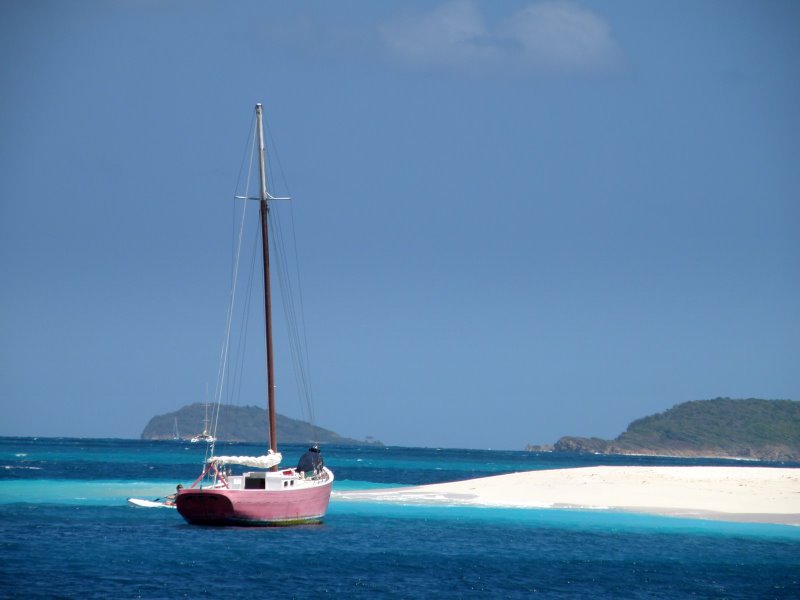 gulli bateau rose
