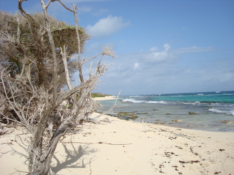 catamaran Belize PLAGE SAUVAGE Guadeloupe