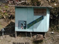 antilles grenadines 4