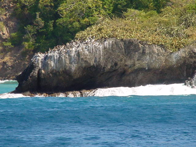 grenadines 2003 rocher martinique