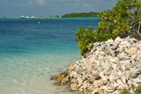 goelette los roques Varua 4 location voilier