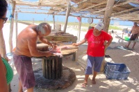 poisson roques