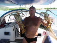 moana langouste 