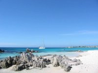 moana blanquilla martinique bppv