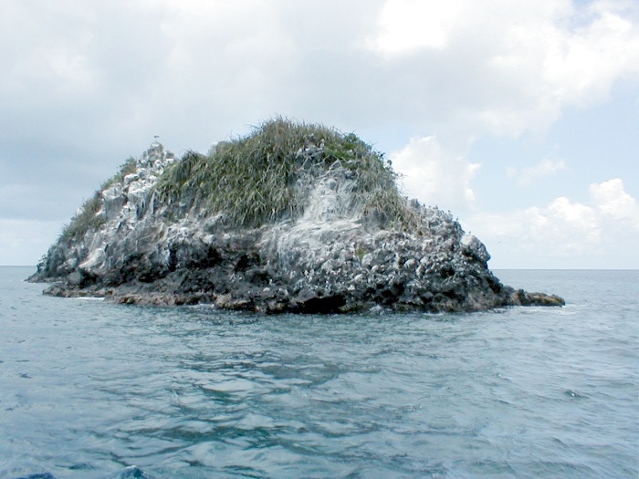 caraicou sisters croisiere voile location catamaran antilles grenadines