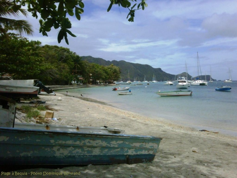 antilles charter grenadines 1