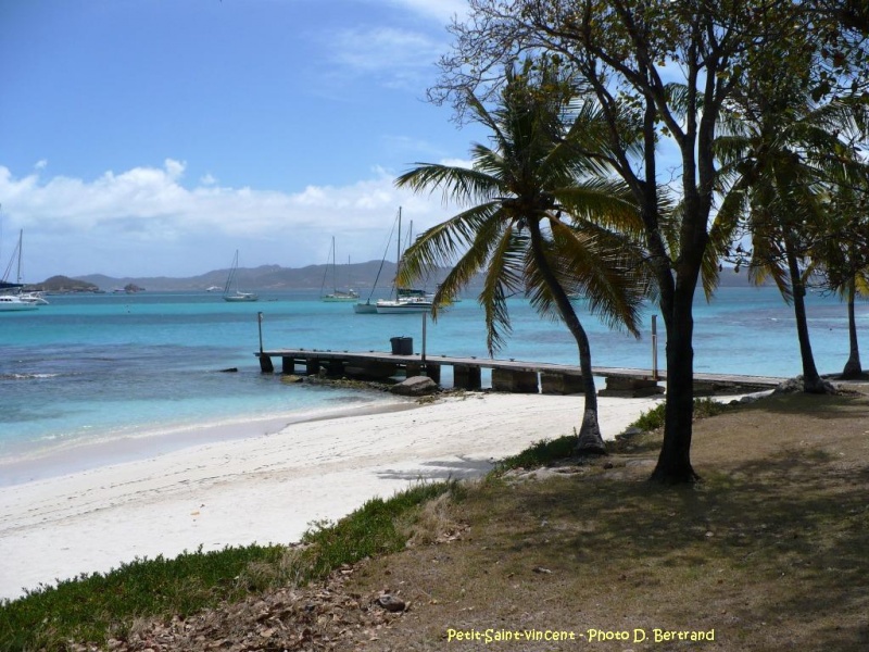 antilles charter grenadines 2